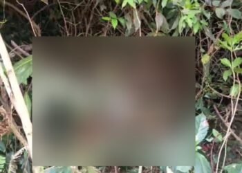 ಕಾಡಾನೆ ದಾಳಿಗೆ ಮತ್ತೊಂದು ಬಲಿ..! ಆತಂಕದಲ್ಲಿ ರೈತರು