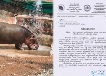 ಡಾ. ಸಮೀಕ್ಷಾ ಸಾವಿಗೆ ಕಾರಣವಾದ ನೀರಾನೆ ಸ್ಥಿತಿ ಗಂಭೀರ