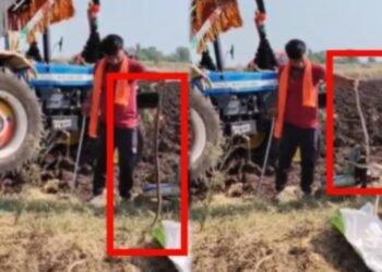 ಟ್ರಾಕ್ಟರ್ ಸೀಟಿನೊಳಗೆ ಹಾವು.. ಚಾಲಕ ಜಸ್ಟ್ ಬಚಾವ್!