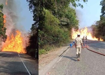 ನಡುರಸ್ತೆಯಲ್ಲೇ ಹೊತ್ತಿ ಉರಿದ ಪೆಟ್ರೋಲ್ ಟ್ಯಾಂಕರ್.. ಅರಣ್ಯಕ್ಕೂ ವ್ಯಾಪಿಸಿದ ಬೆಂಕಿ!