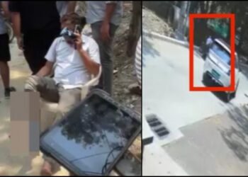 ವ್ಯಕ್ತಿಯ ಮೇಲೆ ಸಾಕು ನಾಯಿ ಡೆಡ್ಲಿ ಅಟ್ಯಾಕ್.. ವಿಡಿಯೋ ವೈರಲ್‌!