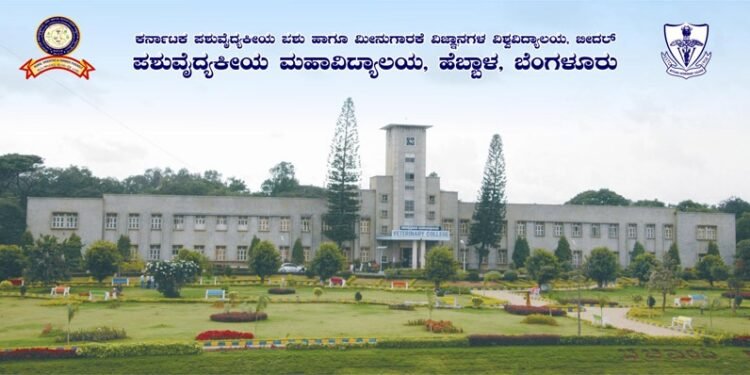 ಪಶುವೈದ್ಯಕೀಯ ವಿಶ್ವವಿದ್ಯಾಲಯದಲ್ಲಿ 3 ಹುದ್ದೆಗಳ ನೇಮಕಾತಿ : 47 ಸಾವಿರ ರೂ. ಸಂಬಳ!