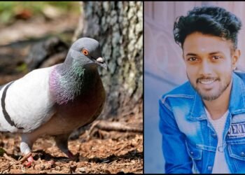 ಪಾರಿವಾಳದ ವಿಚಾರಕ್ಕೆ ಗಲಾಟೆ – ಚಾಕು ಇರಿದು ಯುವಕನ ಹತ್ಯೆ!