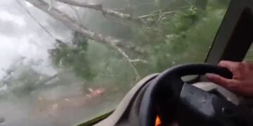 ಚಲಿಸುತ್ತಿದ್ದ ಕಾರಿನ ಮುಂದೆಯೇ ಬಿದ್ದ ಬೃಹತ್‌ ಮರ.. ಕೂದಲೆಳೆ ಅಂತರದಲ್ಲಿ ಪ್ರಯಾಣಿಕರು ಪಾರು!