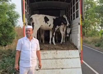 ಅಕ್ರಮ ಗೋ ಸಾಗಾಟ ವಾಹನ ತಡೆದು ಗೋವುಗಳನ್ನು ರಕ್ಷಿಸಿದ ಶಾಸಕ ಶರಣು ಸಲಗರ!