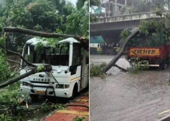 ಬೆಂಗಳೂರು ಮಳೆಗೆ ಬೆಚ್ಚಿಬಿದ್ದ ಜನತೆ : 150ಕ್ಕೂ ಹೆಚ್ಚು ಮರಗಳು ಧರೆಗೆ, ವಾಹನಗಳು ಜಖಂ!