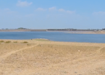 ಮಂಡ್ಯ ಜಿಲ್ಲೆಗೆ ಬಾರದ ಮುಂಗಾರು ಮಳೆ : ಬರದ ಆತಂಕ