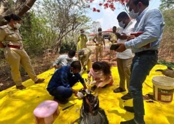 ತುಮಕೂರಲ್ಲಿ ನವಿಲುಗಳ ಮಾರಣಹೋಮ ಕೇಸ್‌ಗೆ ಬಿಗ್ ಟ್ವಿಸ್ಟ್ – FSL ವರದಿಯಲ್ಲಿ ಸ್ಫೋಟಕ ಮಾಹಿತಿ ಬಹಿರಂಗ!