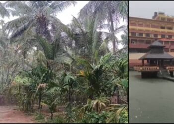 ಸುಡು ಬಿಸಿಲಿಗೆ ತತ್ತರಿಸಿದ್ದ ಉಡುಪಿ ಜನತೆಗೆ ತಂಪೆರೆದ ಮಳೆರಾಯ!