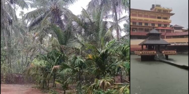 ಸುಡು ಬಿಸಿಲಿಗೆ ತತ್ತರಿಸಿದ್ದ ಉಡುಪಿ ಜನತೆಗೆ ತಂಪೆರೆದ ಮಳೆರಾಯ!