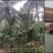 ಸುಡು ಬಿಸಿಲಿಗೆ ತತ್ತರಿಸಿದ್ದ ಉಡುಪಿ ಜನತೆಗೆ ತಂಪೆರೆದ ಮಳೆರಾಯ!