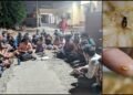 ಮಲ್ಲತಹಳ್ಳಿ PU ಬಾಯ್ಸ್ ಹಾಸ್ಟೆಲ್‌ನಲ್ಲಿ ವಿದ್ಯಾರ್ಥಿಗಳ ನರಕಯಾತನೆ ; ಜಿರಳೆ ಮಿಶ್ರಿತ ಆಹಾರ, ವಾರ್ಡನ್ ಬೇಜವಾಬ್ದಾರಿತನ!