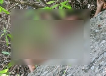 ಮಲೆ ಮಹದೇಶ್ವರ ಬೆಟ್ಟದಲ್ಲಿ ಚಿರತೆ ದಾಳಿಗೆ ಬಾಲಕ ಬಲಿ!