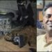 ಬೆಂಗಳೂರಲ್ಲಿ ಹಿಟ್ ಅಂಡ್ ರನ್‌ಗೆ ವ್ಯಕ್ತಿ ಬಲಿ.. ಇಬ್ಬರು ಗಂಭೀರ