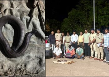 ಲಕ್ಷಾಂತರ ರೂ. ಮೌಲ್ಯದ ‘ರೆಡ್ ಸ್ಯಾಂಡ್ ಬೋವಾ’ ಹಾವಿನ ಕಳ್ಳಸಾಗಣೆ – ಮೂವರ ಬಂಧನ!