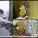 ಬೆಂಗಳೂರಲ್ಲಿ ಮುನೇಶ್ವರ ದೇಗುಲದ ಕಾಣಿಕೆ ಹುಂಡಿ ಕದ್ದ ಖತರ್ನಾಕ್‌ ಕಳ್ಳ!