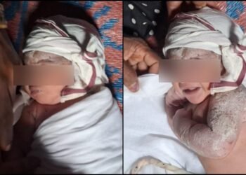 ಚಿಕ್ಕಮಗಳೂರಲ್ಲಿ ಮನಕಲಕುವ ಘಟನೆ – 1 ದಿನದ ಮಗುವನ್ನು ಪೊದೆಯಲ್ಲಿ ಬಿಟ್ಟು ಹೋದ ಪಾಪಿಗಳು