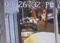 ಬೆಂಗಳೂರಲ್ಲಿ ಹೆಚ್ಚಾಯ್ತು ಬೀದಿ ನಾಯಿಗಳ ಹಾವಳಿ ; ವಿದ್ಯಾರ್ಥಿನಿ ಮೇಲೆ ದಾಳಿಗೆ ಯತ್ನ!