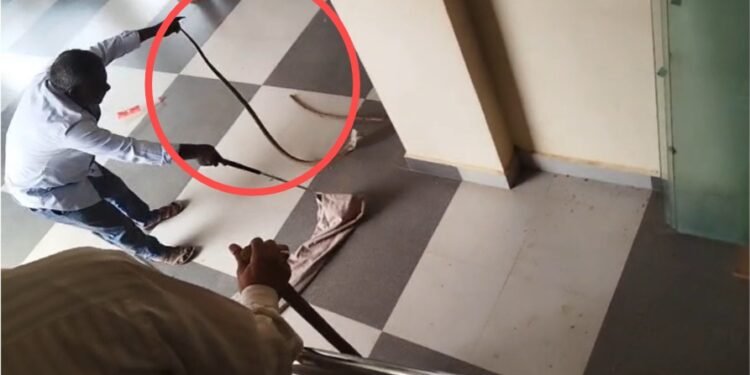 ದಾವಣಗೆರೆ : ಅಪಾರ್ಟ್‌ಮೆಂಟ್‌ನಲ್ಲಿ ಕಾಣಿಸಿಕೊಂಡ ನಾಗರಹಾವು
