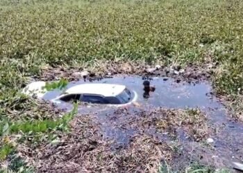 ದಾವಣಗೆರೆ : ಚಾಲಕನ ನಿಯಂತ್ರಣ ತಪ್ಪಿ ಕೆರೆಗೆ ಬಿದ್ದ ಕಾರು!