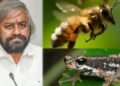 ಮಲಬಾರ್ ಟ್ರೀ ಟೋಡ್ ಹಾಗೂ ತುಡುವೆ ಜೇನಿಗೆ ಶೀಘ್ರದಲ್ಲೇ ರಾಜ್ಯಮಟ್ಟದ ಸ್ಥಾನಮಾನ!
