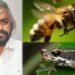 ಮಲಬಾರ್ ಟ್ರೀ ಟೋಡ್ ಹಾಗೂ ತುಡುವೆ ಜೇನಿಗೆ ಶೀಘ್ರದಲ್ಲೇ ರಾಜ್ಯಮಟ್ಟದ ಸ್ಥಾನಮಾನ!