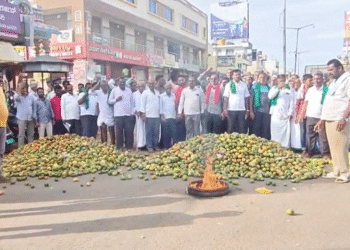 ರಸ್ತೆಗೆ ಮಾವು ಚೆಲ್ಲಿ ರೈತರು ಪ್ರೊಟೆಸ್ಟ್..!