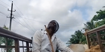 ಕೈಕೊಟ್ಟ ಮುಂಗಾರು ಮಳೆ | ಮೊಳಕೆಯ ಹಂತದಲ್ಲಿಯೇ ಸಾಯುತ್ತಿರೋ ಬೆಳೆ