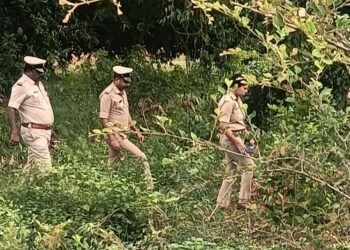 ಹಾಡಹಗಲೇ ಮಹಿಳೆಯ ಮಾಂಗಲ್ಯ ಸರ ಕಳವು