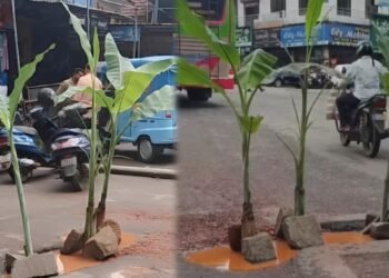 ರಸ್ತೆ ಗುಂಡಿಯಲ್ಲಿ ಬಾಳೆಗಿಡ ನೆಟ್ಟು ಪ್ರತಿಭಟನೆ – ಸಾರ್ವಜನಿಕರ ಆಕ್ರೋಶಕ್ಕೆ ಮಣಿದ ಕಾರ್ಕಳ ಪುರಸಭೆ!