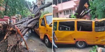 ಶಾಲಾ ಬಸ್‌ ಮೇಲೆ ಉರುಳಿದ ಬೃಹತ್‌ ಮರ – ಓರ್ವ ಸಾವು, 10ಕ್ಕೂ ಹೆಚ್ಚು ಮಕ್ಕಳಿಗೆ ಗಂಭೀರ ಗಾಯ!