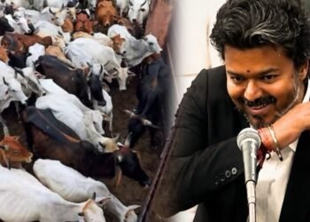ಸಂಪೂರ್ಣ ಗೋಹತ್ಯೆ ನಿಷೇಧ ಆದೇಶದ ವಿರುದ್ಧ ಸುಪ್ರೀಂ ಕೋರ್ಟ್ ಮೆಟ್ಟಿಲೇರಿದ ತಮಿಳುನಾಡು ಸರ್ಕಾರ!