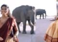ಕಾಡಾನೆ ಜೊತೆ ರೀಲ್ಸ್ ಹುಚ್ಚಾಟ – ಶಿಲ್ಪಾ ಗೌಡ ವಿರುದ್ದ ಪರಿಸರ ಪ್ರೇಮಿಗಳ ಆಕ್ರೋಶ!