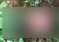 ಜಿಬಿಎ ಪಾರ್ಕ್‌ನಲ್ಲಿ ಯುವಕನ ಶವ ಪತ್ತೆ!