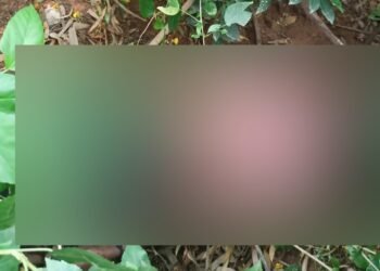 ಜಿಬಿಎ ಪಾರ್ಕ್‌ನಲ್ಲಿ ಯುವಕನ ಶವ ಪತ್ತೆ!