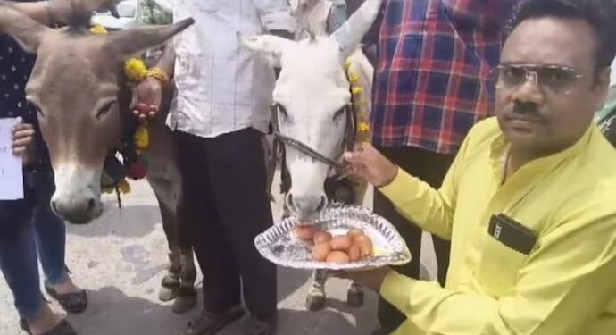 ಮಳೆಗಾಗಿ ಭೋಪಾಲ್ನಲ್ಲಿ ಕತ್ತೆಗಳಿಗೆ ಗುಲಾಬ್ ಜಾಮೂನ್ ತಿನ್ನಿಸಿದ ಜನ : ಆಮೇಲೆ ಆಗಿದ್ದೇನು?