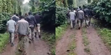 ಕಾಫಿ ತೋಟದಲ್ಲಿ ಮಹಿಳೆ ಮೇಲೆ ಚಿರತೆ ದಾಳಿ!