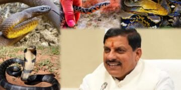 ಮಧ್ಯಪ್ರದೇಶದಲ್ಲಿ ಶುರುವಾಗಿದೆ ಹಾವುಗಳ ‘ಹುಡುಕಾಟ’.. ಇದು ಸಾಮಾನ್ಯ ಗಣತಿಯಲ್ಲ, ದೇಶದ ಮೊದಲ ವೈಜ್ಞಾನಿಕ ಅಧ್ಯಯನ!