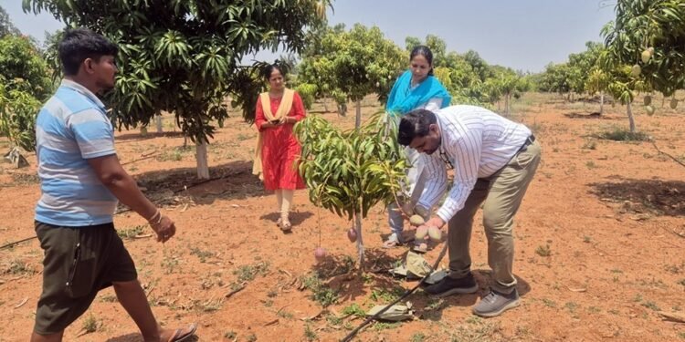 ಕೃಷಿ ಇಲಾಖೆಯಲ್ಲಿ 7 ಹುದ್ದೆಗಳ ನೇಮಕಾತಿ : ಡಿಗ್ರಿ, ಮಾಸ್ಟರ್ ಡಿಗ್ರಿ ಮುಗಿಸಿದವರಿಗೆ ಅವಕಾಶ