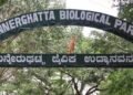 ಬನ್ನೇರುಘಟ್ಟ ಜೈವಿನ ಉದ್ಯಾನದಲ್ಲಿ ಪಶುವೈದ್ಯಾಧಿಕಾರಿಗಳ ನೇಮಕಾತಿ : 80 ಸಾವಿರ ರೂ. ಸ್ಯಾಲರಿ