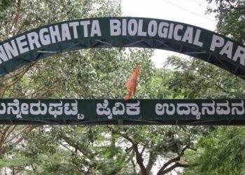 ಬನ್ನೇರುಘಟ್ಟ ಜೈವಿನ ಉದ್ಯಾನದಲ್ಲಿ ಪಶುವೈದ್ಯಾಧಿಕಾರಿಗಳ ನೇಮಕಾತಿ : 80 ಸಾವಿರ ರೂ. ಸ್ಯಾಲರಿ