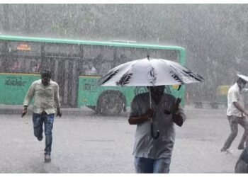 ಬೆಂಗಳೂರಲ್ಲಿ ಮಳೆ ಅಬ್ಬರ ; ಮರ ಬಿದ್ದು 2 ಕಾರು ಜಖಂ.. ವಾಹನ ಸವಾರರ ಪರದಾಟ!