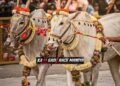 ರೈತ ದಸರಾದಲ್ಲಿ ಹಳ್ಳಿಕಾರ್ ತಳಿಗಳ ಕಡೆಗಣನೆ: ರೈತರ ಪ್ರತಿಭಟನೆ