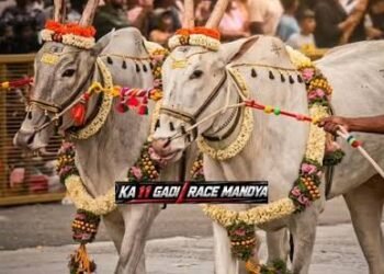ರೈತ ದಸರಾದಲ್ಲಿ ಹಳ್ಳಿಕಾರ್ ತಳಿಗಳ ಕಡೆಗಣನೆ: ರೈತರ ಪ್ರತಿಭಟನೆ